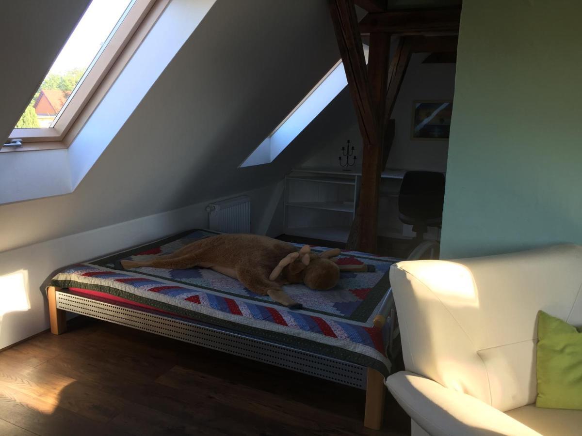 Ferienwohnung Schulze Freital Bagian luar foto